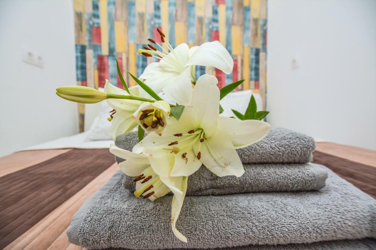 Timeless Apartment With Free Private Parking بودابست المظهر الخارجي الصورة